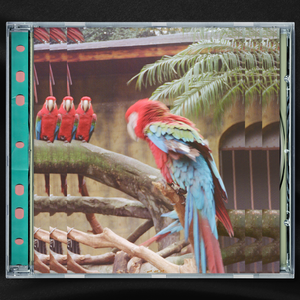 大奶奶美少妇性交
